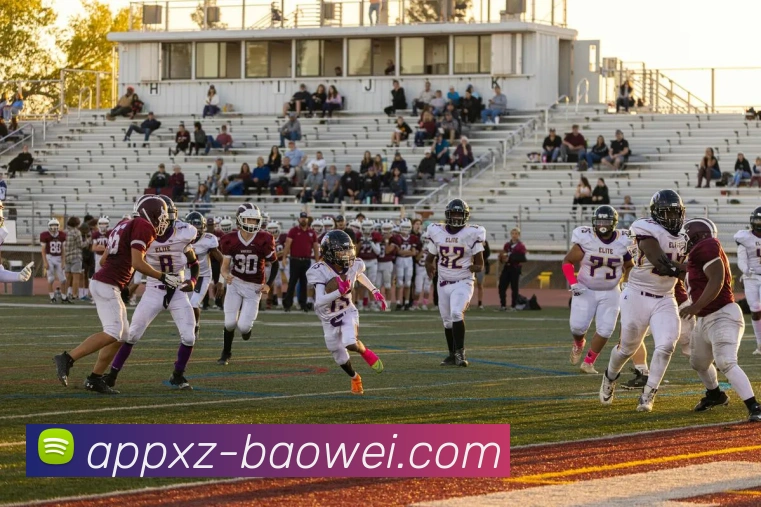 App Interface Preview